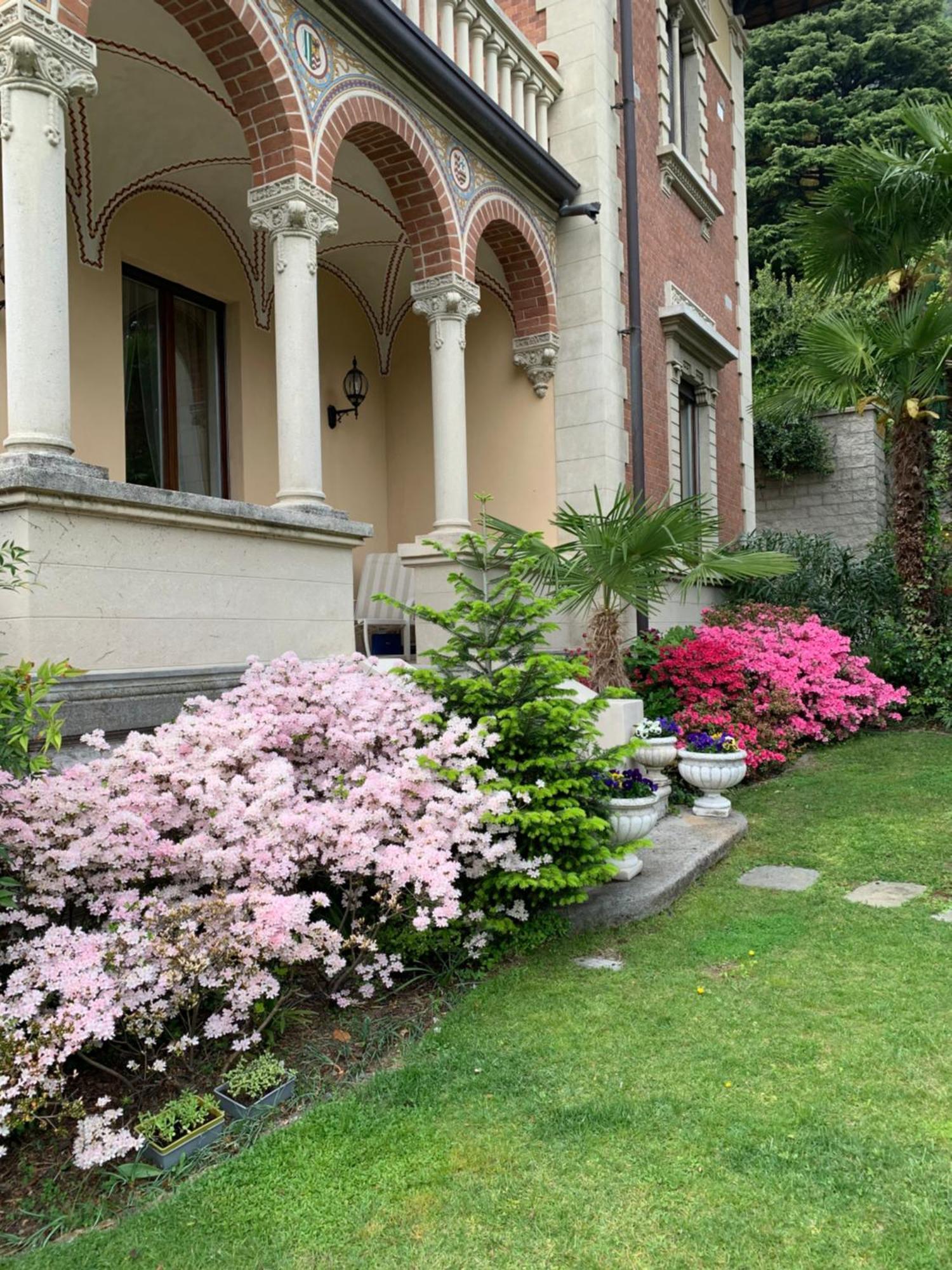 Villa Castiglioni Luxury Apartment Laglio Eksteriør bilde